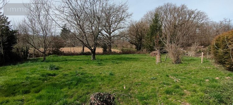 Maison a vendre Amanzé 71800 Saône-et-Loire 48 m2  68670 euros