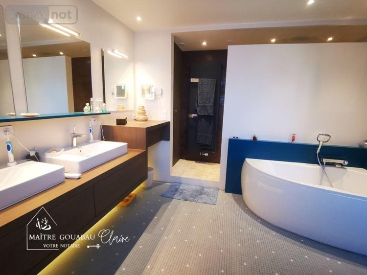 propriete a vendre Cossé-le-Vivien 53230 Mayenne 339 m2 7 pièces 507032 euros