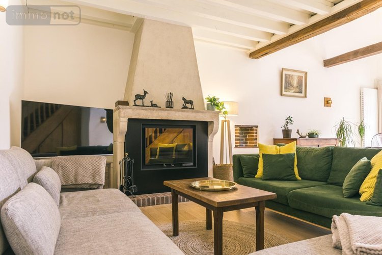 propriete a vendre Saint-Romain-le-Preux 89116 Yonne 610 m2 17 pièces 1500000 euros