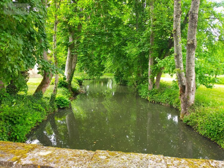 propriete a vendre Charny-Orée-de-Puisaye 89120 Yonne 300 m2 9 pièces 933840 euros