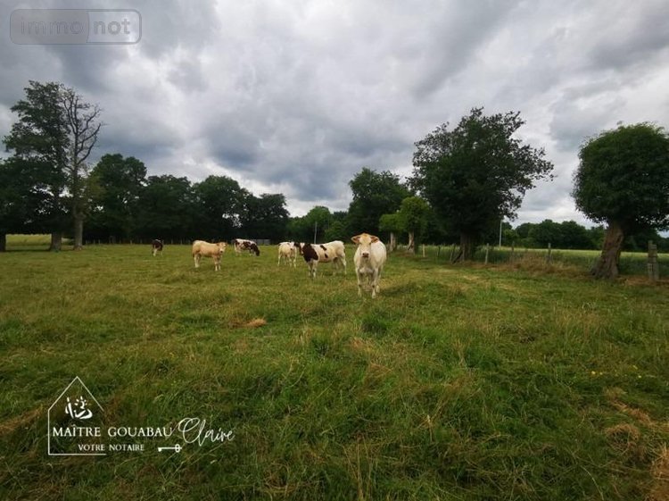 Bien agricole a vendre Loiron-Ruillé 53320 Mayenne  112350 euros