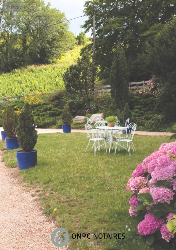 propriete a vendre Salles Arbuissonnas en Beaujolais 69460 Rhône 270 m2 8 pièces 649000 euros