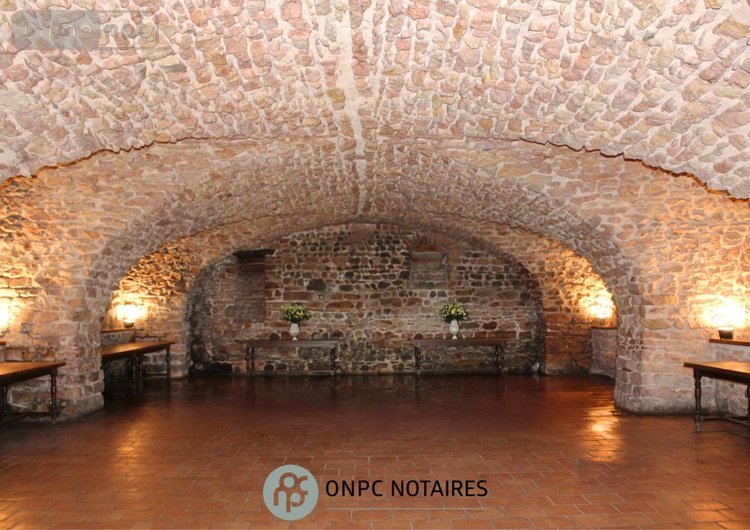 propriete a vendre Salles Arbuissonnas en Beaujolais 69460 Rhône 270 m2 8 pièces 649000 euros