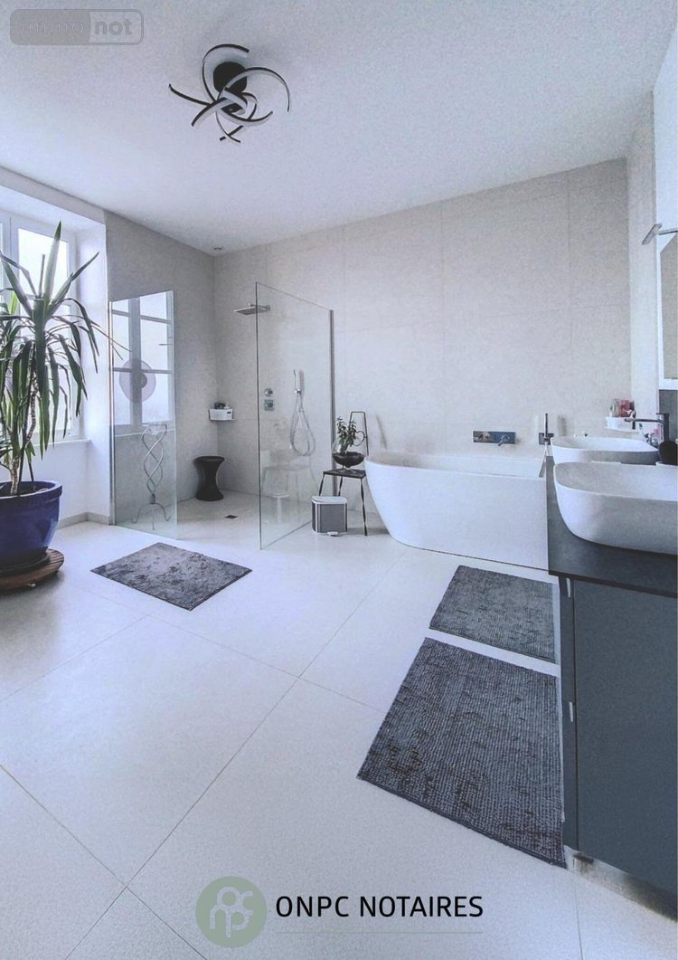 propriete a vendre Salles Arbuissonnas en Beaujolais 69460 Rhône 270 m2 8 pièces 595000 euros