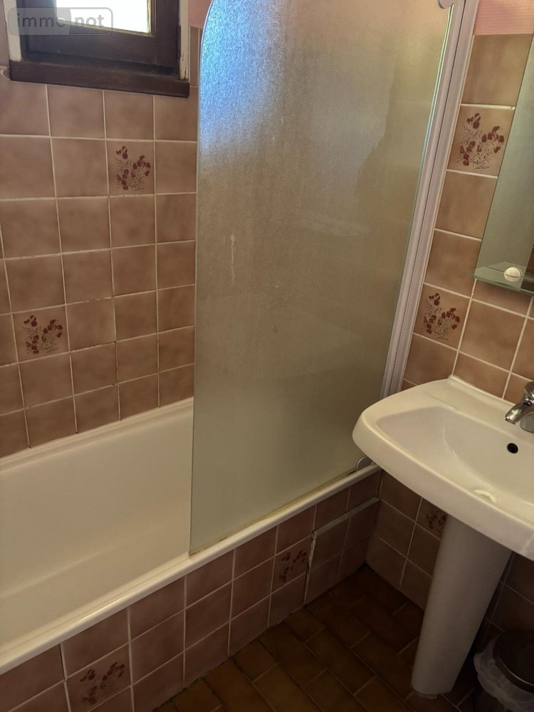 propriete a vendre Rillé 37340 Indre-et-Loire 295 m2 13 pièces 250000 euros