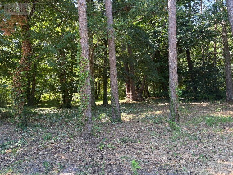 propriete a vendre Rillé 37340 Indre-et-Loire 295 m2 13 pièces 250000 euros