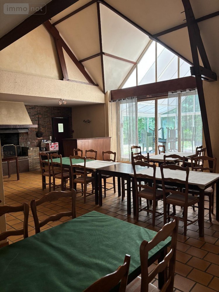 propriete a vendre Rillé 37340 Indre-et-Loire 295 m2 13 pièces 250000 euros