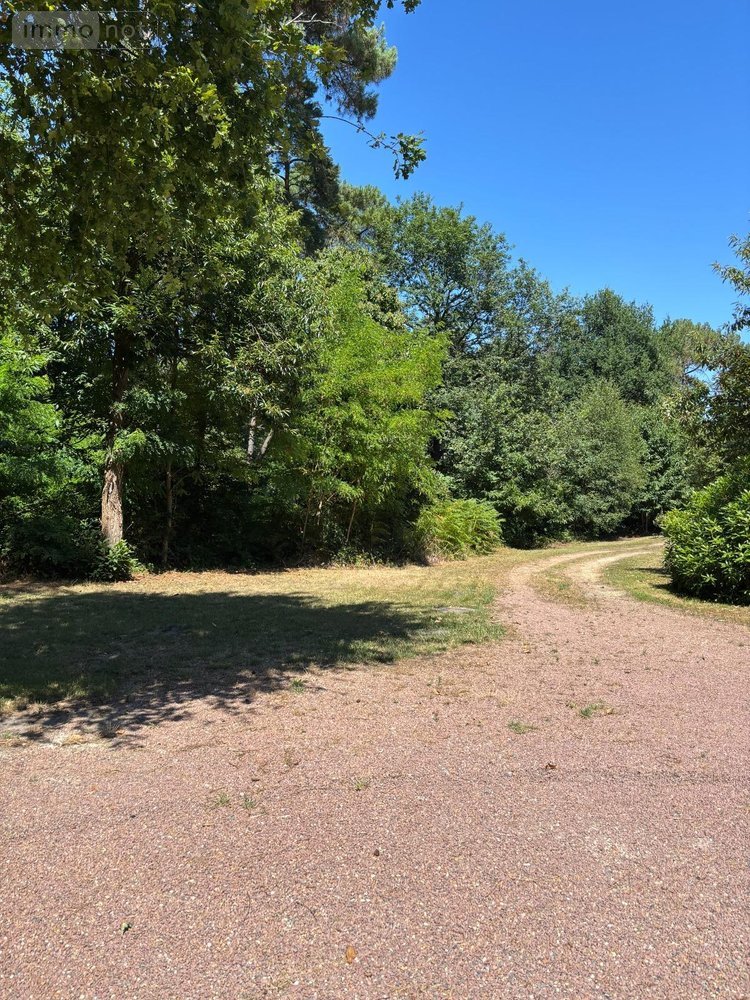 propriete a vendre Rillé 37340 Indre-et-Loire 295 m2 13 pièces 250000 euros