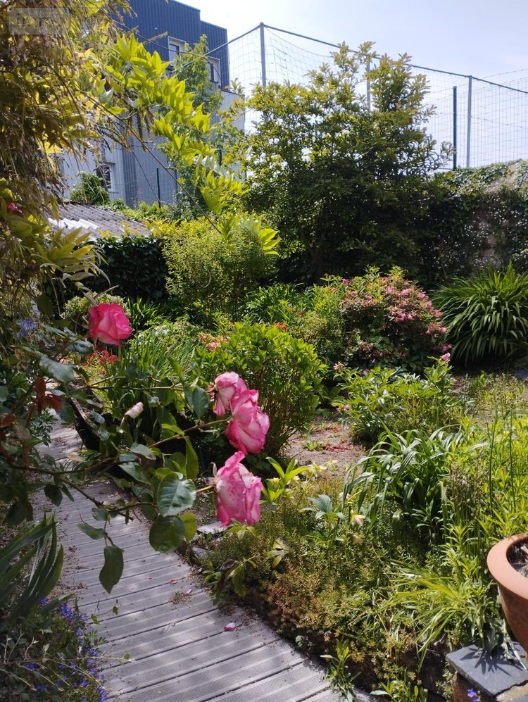 Maison a vendre Guingamp 22200 Côtes-d'Armor 167 m2 11 pièces 184450 euros