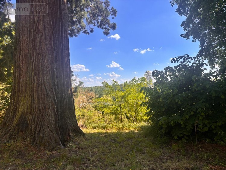 propriete a vendre Yvré-l'Évêque 72530 Sarthe 400 m2 14 pièces 690000 euros