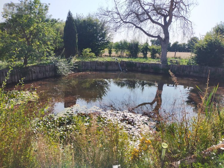 Maison a vendre Villeneuve-les-Genêts 89350 Yonne 229 m2 8 pièces 283200 euros