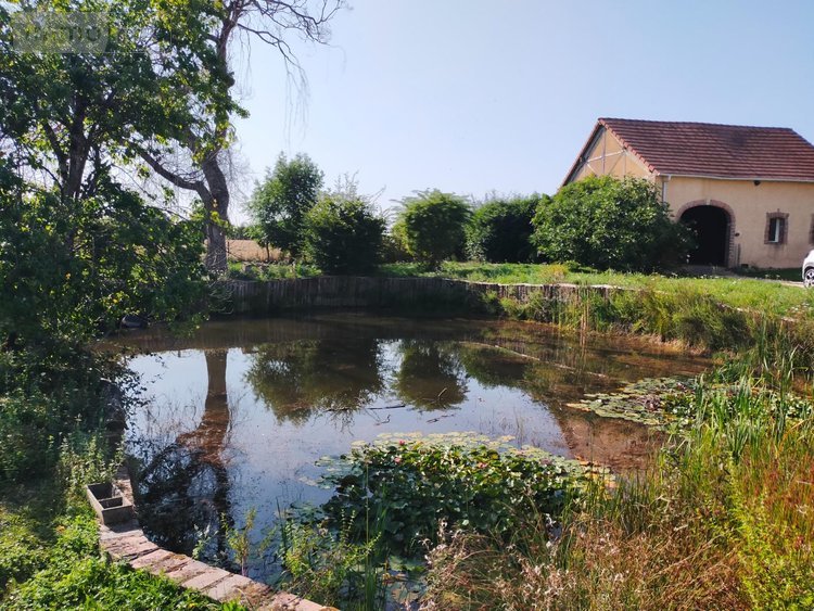 Maison a vendre Villeneuve-les-Genêts 89350 Yonne 229 m2 8 pièces 283200 euros