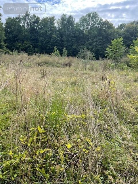 Immeuble a vendre Charmes 02800 Aisne 250 m2  46500 euros