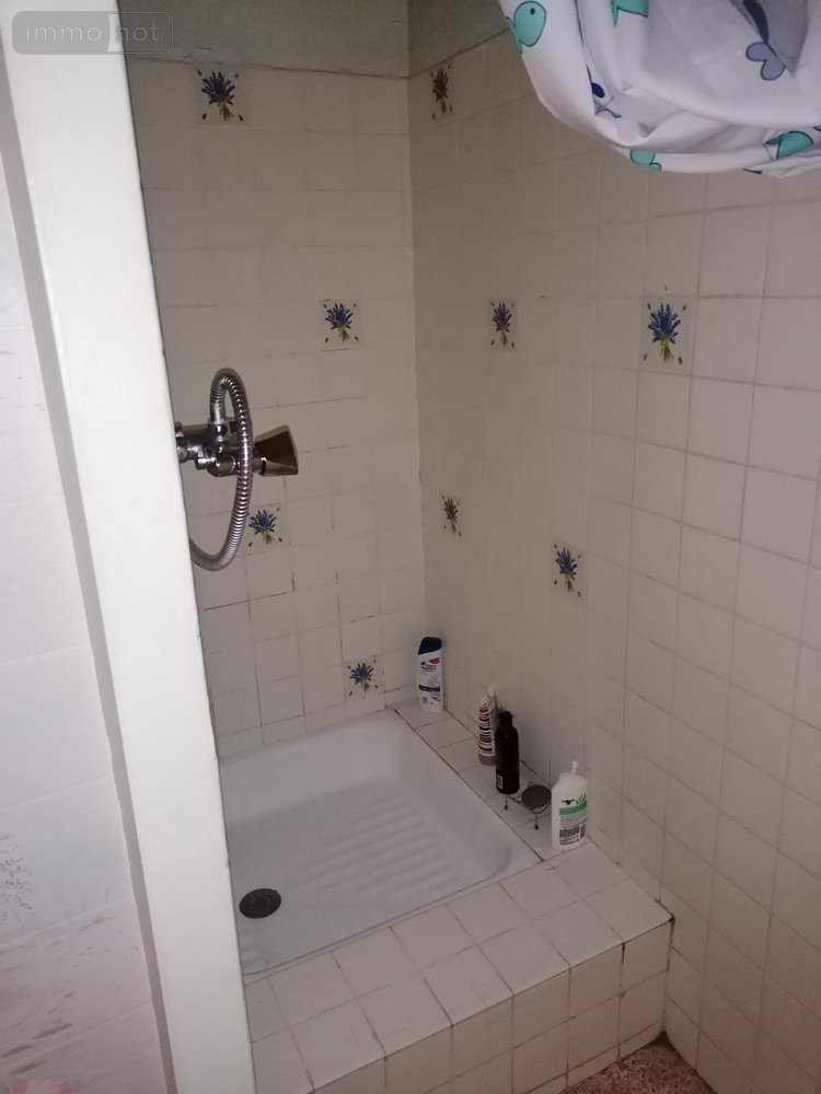 Appartement a vendre Saint-Cyprien 66750 Pyrénées-Orientales 45 m2 2 pièces 85600 euros