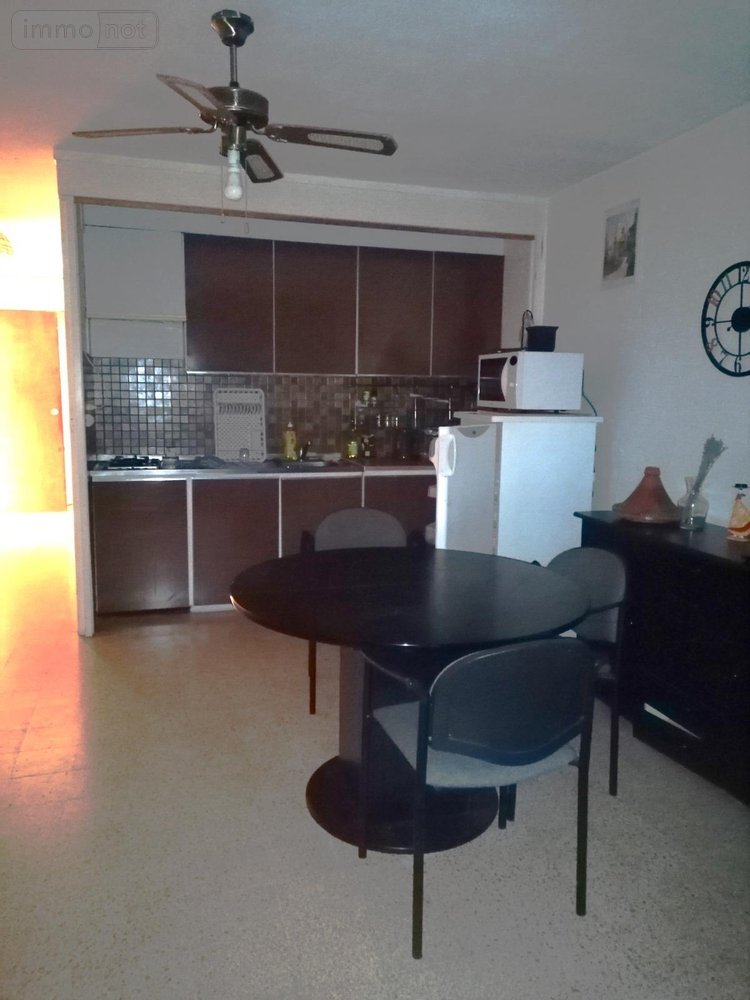 Appartement a vendre Saint-Cyprien 66750 Pyrénées-Orientales 40 m2 2 pièces 96300 euros