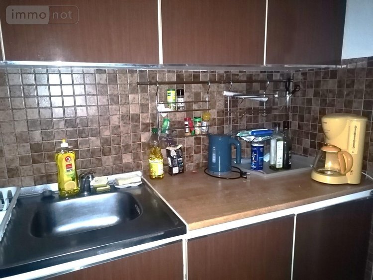 Appartement a vendre Saint-Cyprien 66750 Pyrénées-Orientales 40 m2 2 pièces 96300 euros