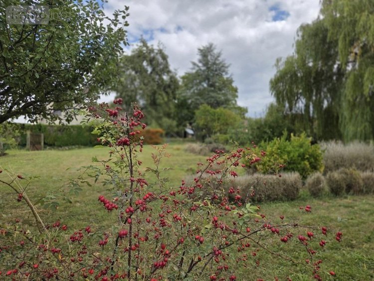 Terrain a batir a vendre Sermiers 51500 Marne 2572 m2  395000 euros