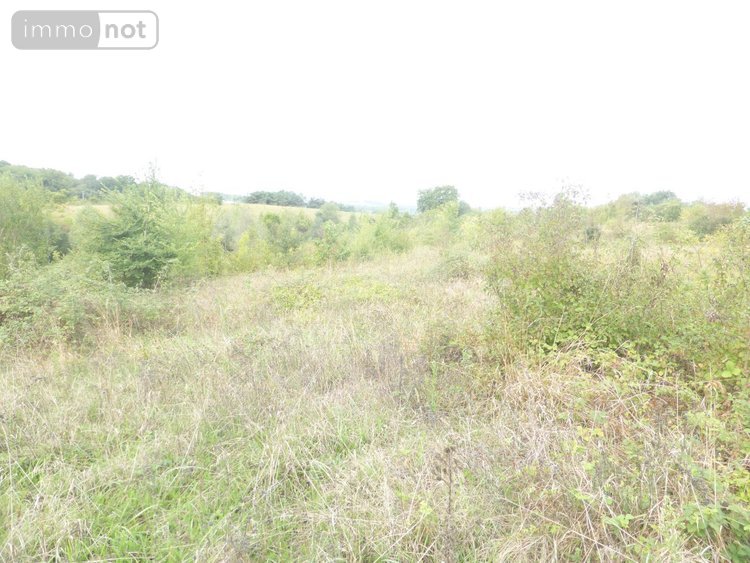 Maison a vendre Gensac-de-Boulogne 31350 Haute-Garonne 220 m2 6 pièces 254400 euros