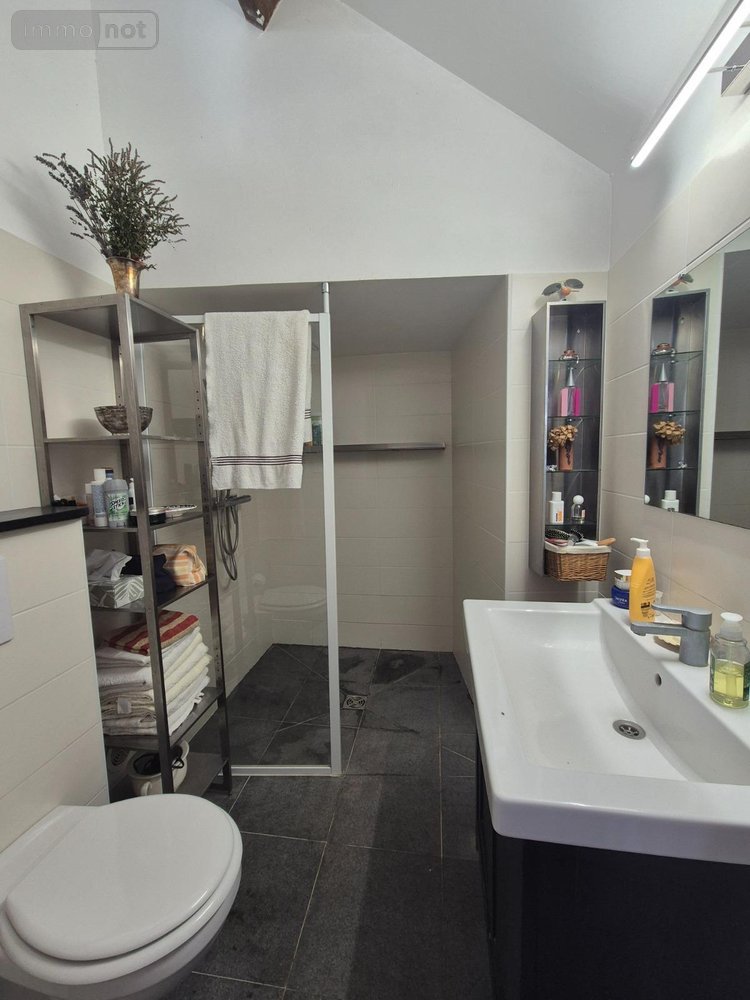 Maison a vendre Saints en Puisaye 89520 Yonne 115 m2 4 pièces 170000 euros