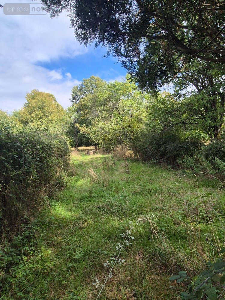 Maison a vendre Saints en Puisaye 89520 Yonne 115 m2 4 pièces 170000 euros