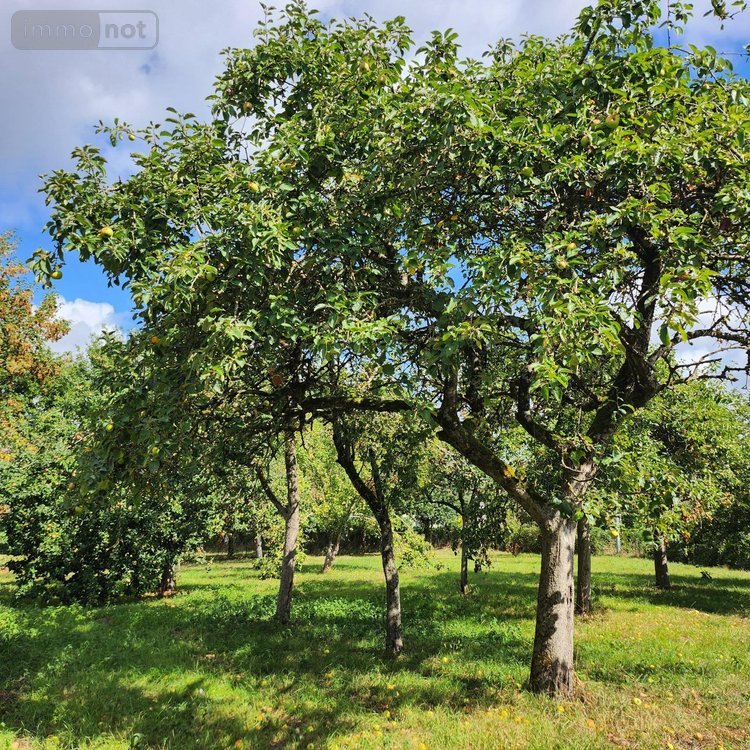 Maison a vendre Ruffigné 44660 Loire-Atlantique 120 m2 8 pièces 214225 euros