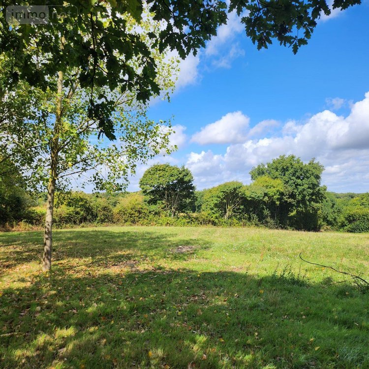 Maison a vendre Ruffigné 44660 Loire-Atlantique 120 m2 8 pièces 214225 euros