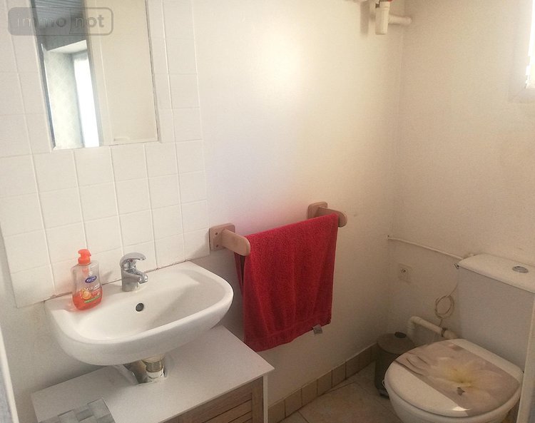 Viager maison Marennes-Hiers-Brouage 17320 Charente-Maritime 76 m2 3 pièces 51000 euros