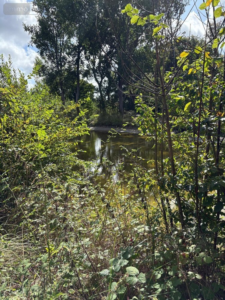 Maison a vendre Berck 62600 Pas-de-Calais 36 m2 3 pièces 169600 euros