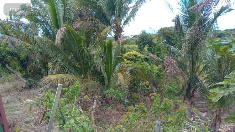 Maison a vendre Saint-Benoît 97470 Réunion 70 m2 3 pièces 210000 euros