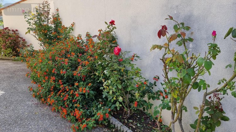 Maison a vendre Jonzac 17500 Charente-Maritime 138 m2 6 pièces 141750 euros