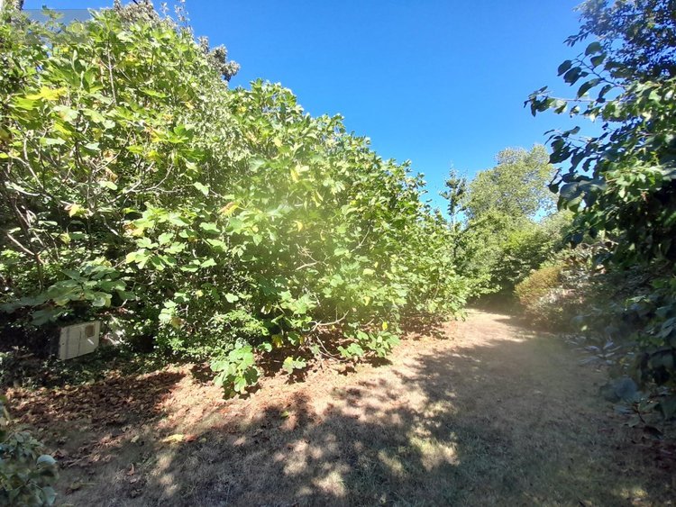 Maison a vendre Camaret-sur-Mer 29570 Finistère 128 m2 6 pièces 373800 euros