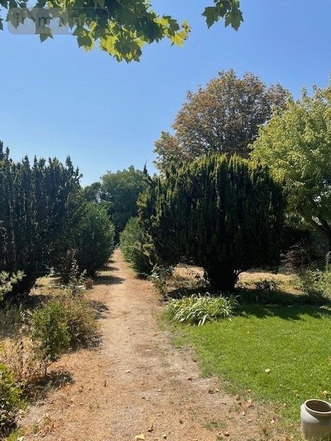 propriete a vendre Montpellier 34000 Hérault 290 m2 10 pièces 997500 euros