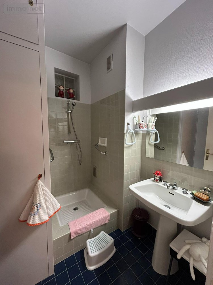 Appartement a vendre Le Mans 72000 Sarthe 124 m2 4 pièces 200320 euros