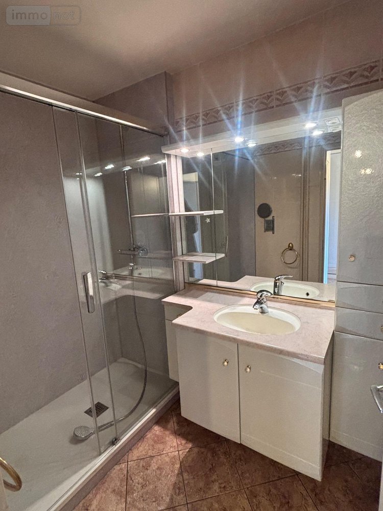 Location appartement Le Mans 72000 Sarthe 79 m2 4 pièces 860 euros