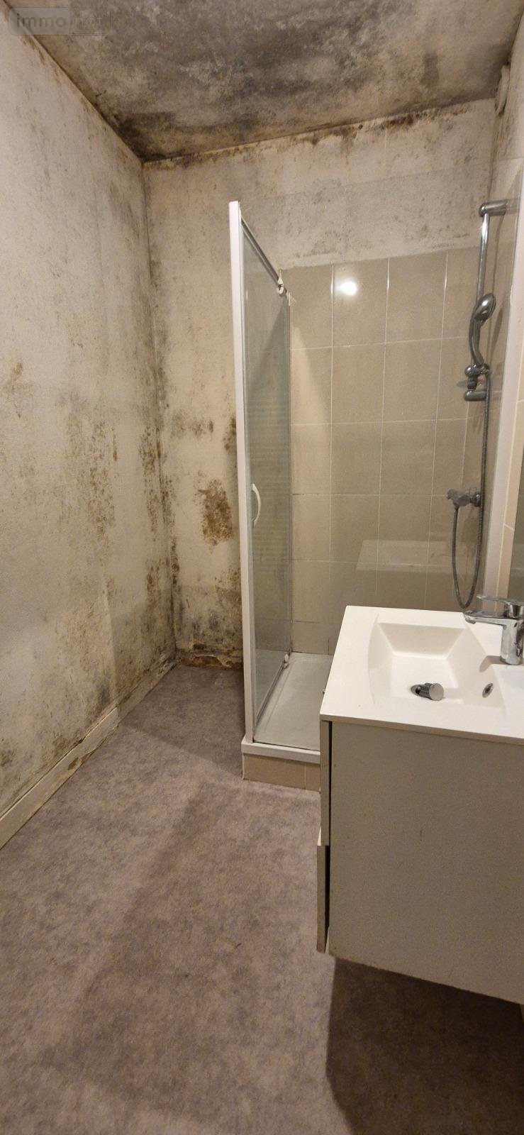 Immeuble a vendre La-Ferté-Bernard 72400 Sarthe 180 m2  179400 euros