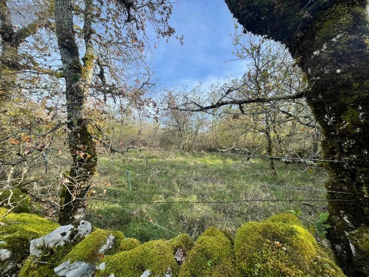 Terrains de loisirs bois etangs a vendre Assier 46320 Lot 87240 m2  33000 euros