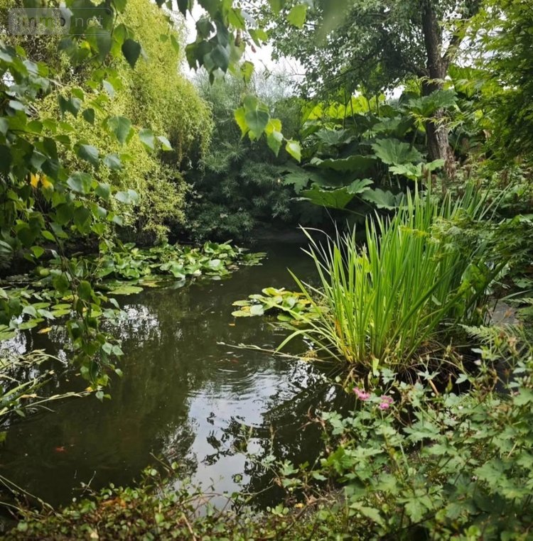 Maison a vendre Val-de-Scie 76720 Seine-Maritime 103 m2 5 pièces 239600 euros