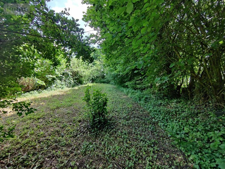 Maison a vendre Martigny 02500 Aisne 85 m2 7 pièces 90525 euros