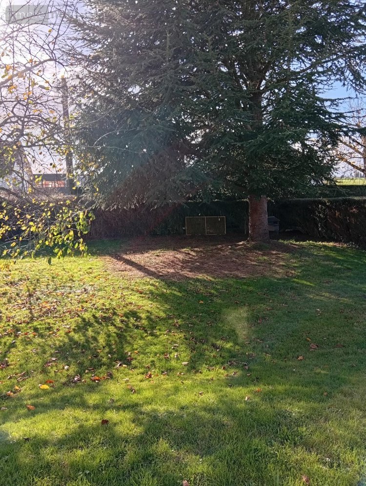 Location maison Grand-Bourgtheroulde 27520 Eure 73 m2 3 pièces 950 euros