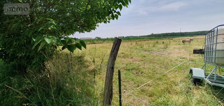 Maison a vendre Goudourville 82400 Tarn-et-Garonne 234 m2 7 pièces 180000 euros