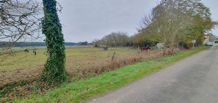 Maison a vendre Goudourville 82400 Tarn-et-Garonne 234 m2 7 pièces 180000 euros