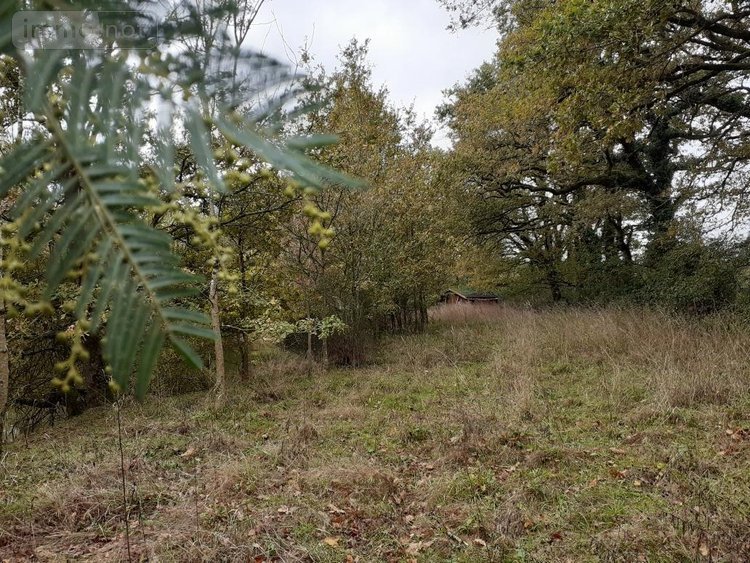 Terrains de loisirs bois etangs a vendre Venansault 85190 Vendée 11966 m2  43000 euros