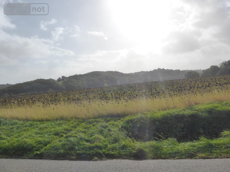 Bien agricole a vendre Saint-Blancard 32140 Gers 350 m2  985800 euros