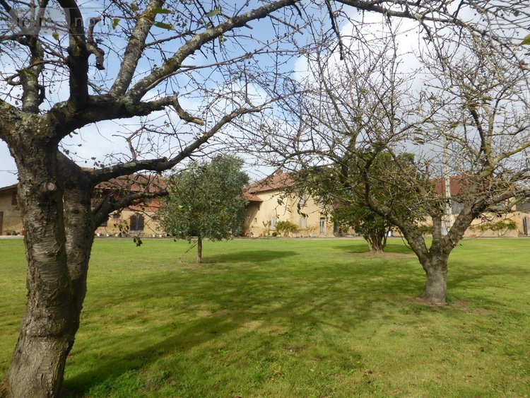 Bien agricole a vendre Saint-Blancard 32140 Gers 350 m2  985800 euros