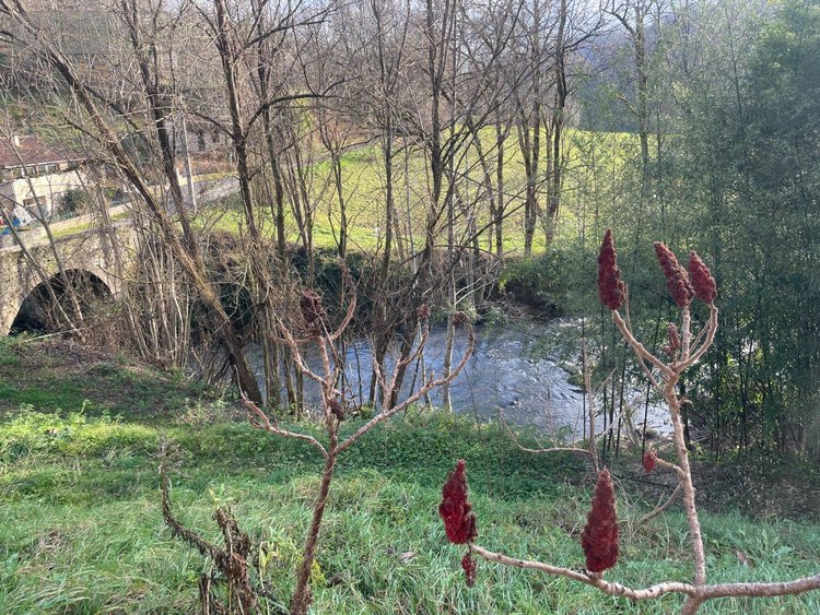 Maison a vendre Latouille-Lentillac 46400 Lot 754 m2 21 pièces 445900 euros