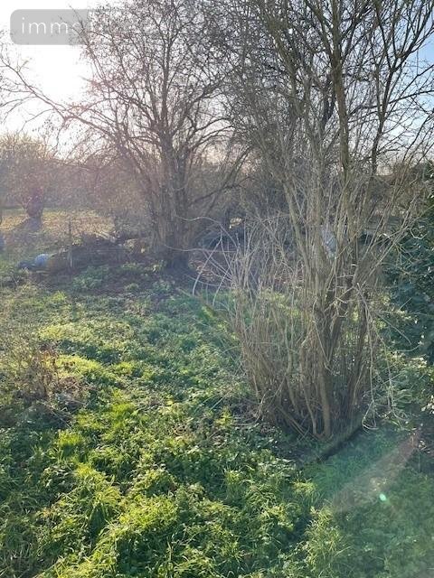 Maison a vendre Beautor 02800 Aisne 60 m2 2 pièces 57500 euros