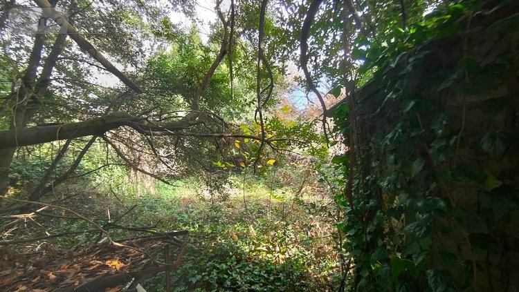 Maison a vendre Viviers 07220 Ardèche 109 m2 5 pièces 95000 euros