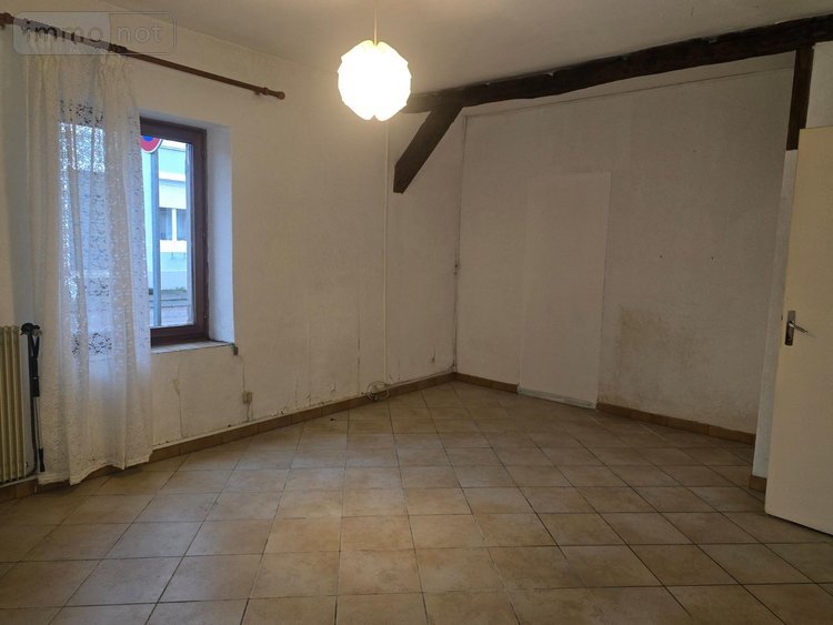 Immeuble a vendre Xertigny 88220 Vosges 120 m2  119000 euros