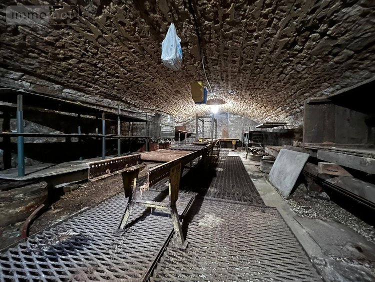 Maison a vendre Nogent 52800 Haute-Marne 272 m2 9 pièces 116600 euros