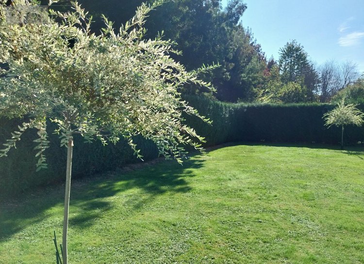 Location maison Bruz 35170 Ille-et-Vilaine 164 m2  1760 euros